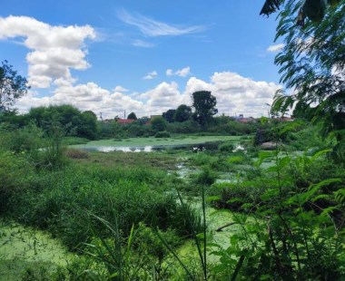 Construção da MRV prevê compensação de R$ 500 mil para urbanização do Parque Lagoa do Jacaré